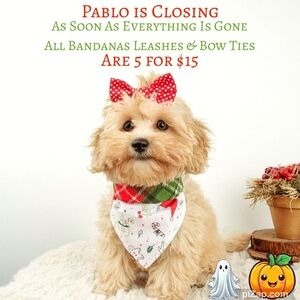 5 for $15 CLOSING SALE All Bandanas, Bowties & Leashes Untill It's All Gone